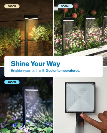 LED Solar Sidewalk Lights, Dusk to Dawn Photocell, 100 Lumens